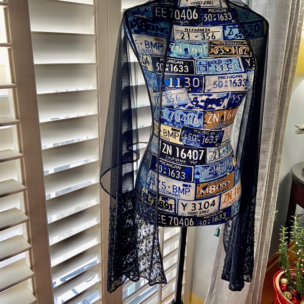 Evening sparkling shawl